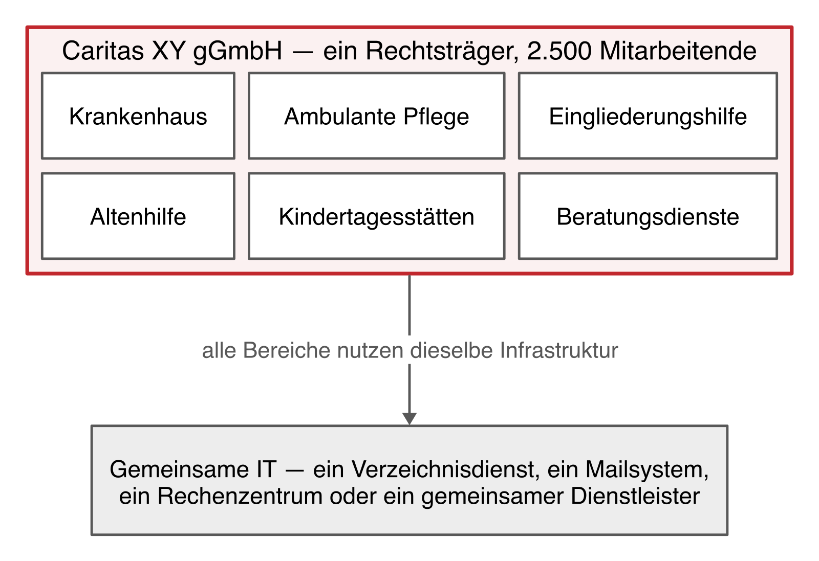 Schaubild eines Trägers mit sechs Betriebsteilen unter einer Rechtsperson, verbunden durch eine gemeinsame IT-Infrastruktur.